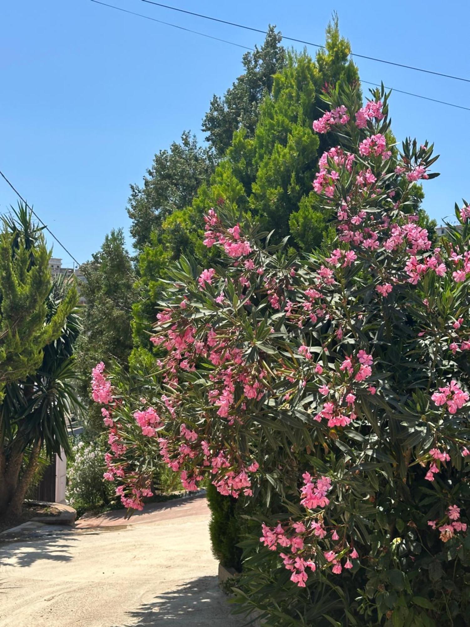 Appartamento Panoramic Views Of Saranda Esterno foto